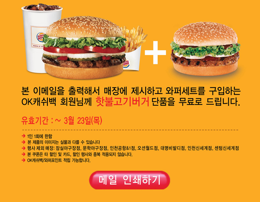 burgerking860_img03.jpg