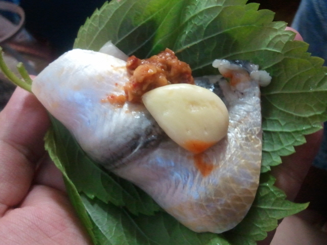 크기변환_2011-06-05 19.16.45.jpg