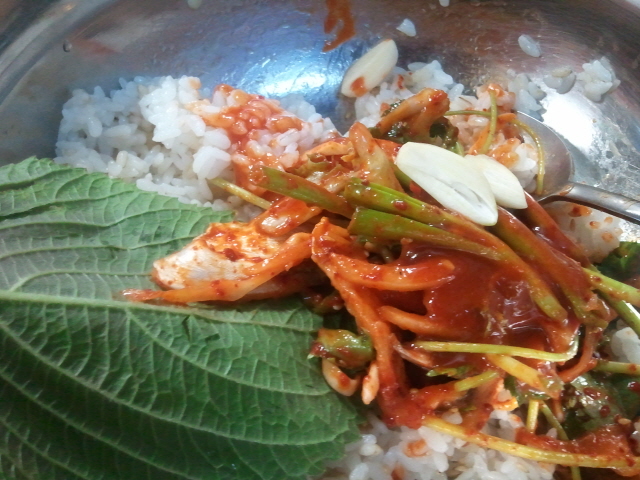 크기변환_2011-06-05 19.21.07.jpg