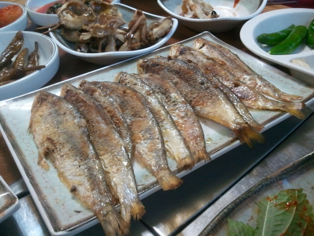 크기변환_2011-06-05 19.23.35.jpg