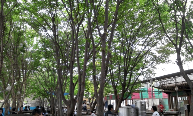크기변환_2011-09-12 11.47.45.jpg