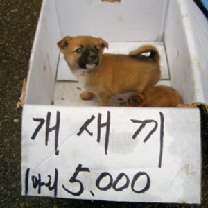 미션 4기가짜리 고화질ㅇㅇ