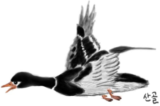 duck.png