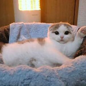 그분횽아 bewithU 횽아 고마워요