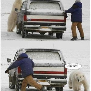 너님들 어디 콜라 마시나효