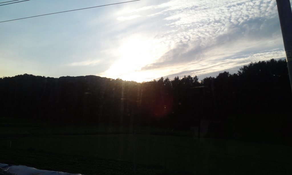 IMG_20130824_181851.jpg
