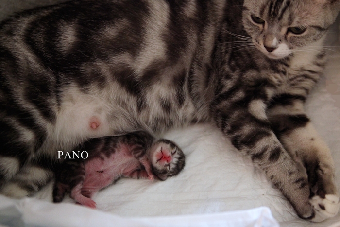 IMG_4722-crop.jpg