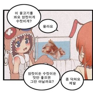 게이가 뭐 어때서