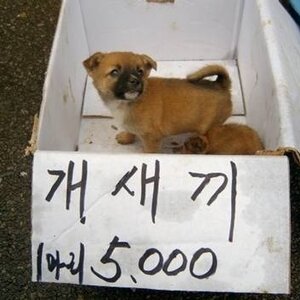 펄 타면