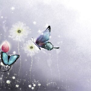 처음이라