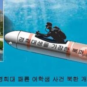 패륜녀 경희대생 아니다