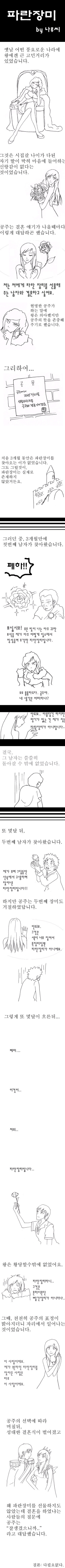 파란장미.jpg