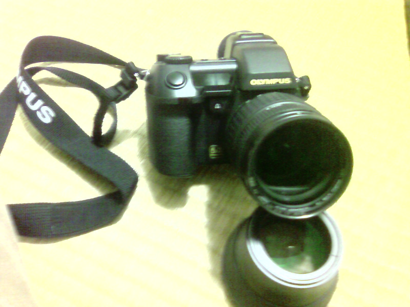 P060829001.jpg