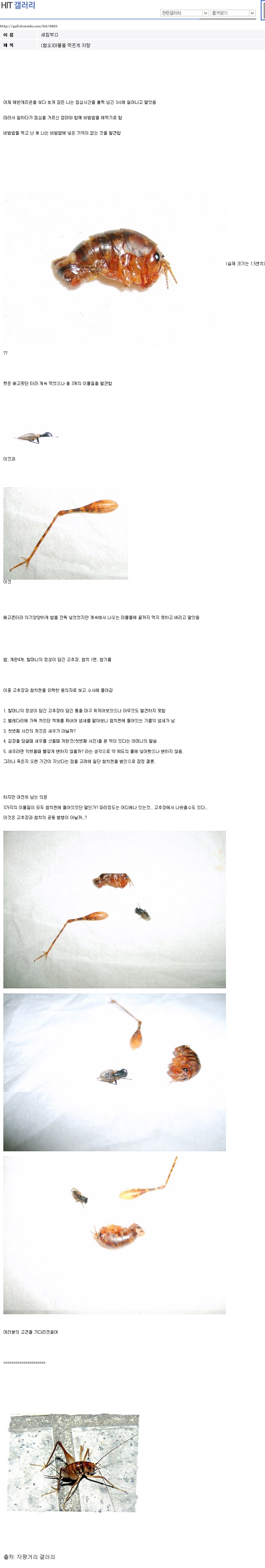 곱등이 먹은게 자랑.jpg