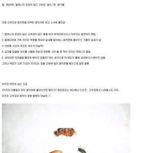 마물을 먹은게 자랑.jpg