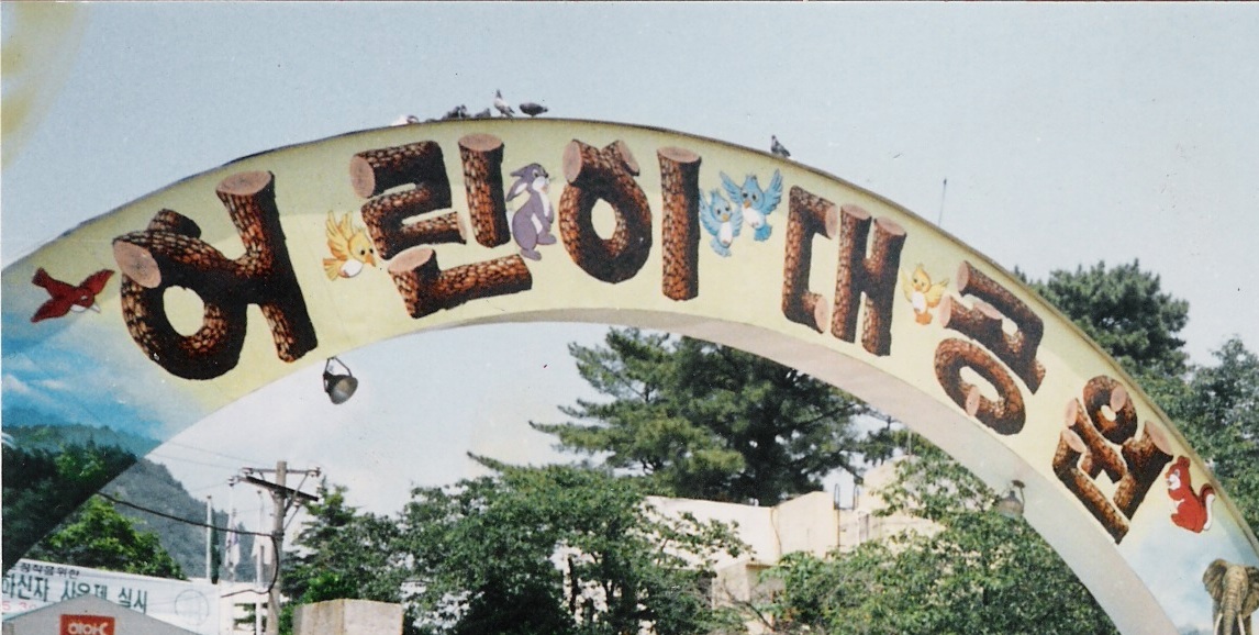 910605.jpg