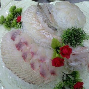 아까 닭한마리 먹었는데 또