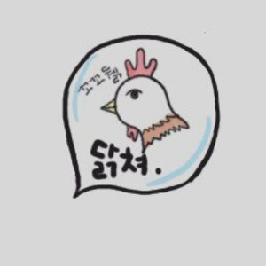 아 맞다 닭 이것만 보고 가