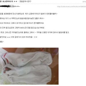 사이도