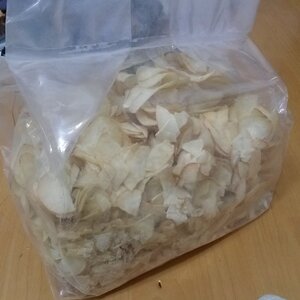 카사노바칩 왔당_당