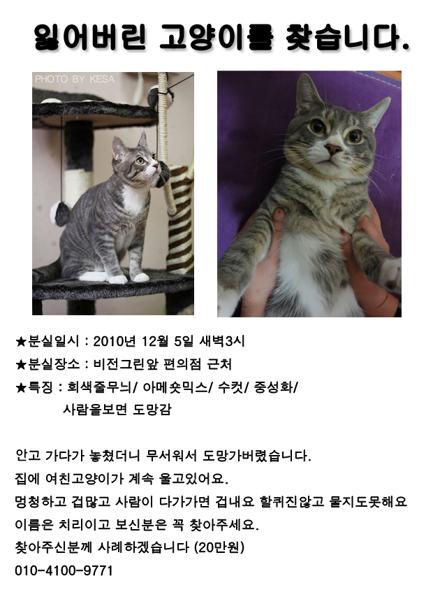전단지.jpg