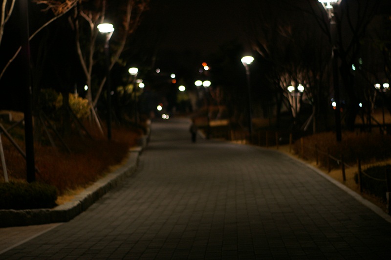 IMGP9528.JPG