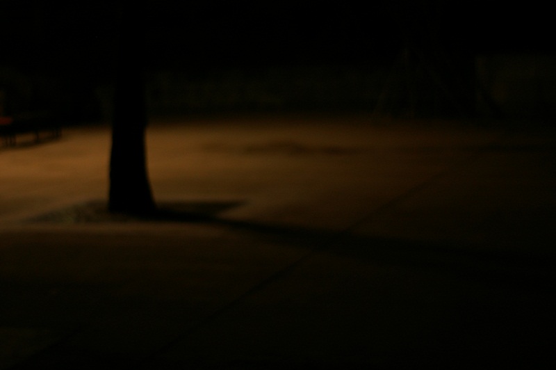 IMGP9529.JPG
