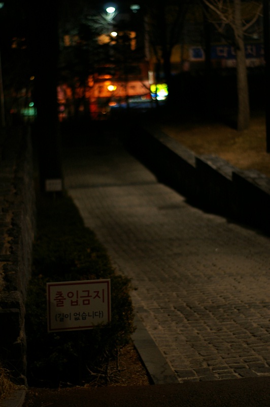 IMGP9534.JPG