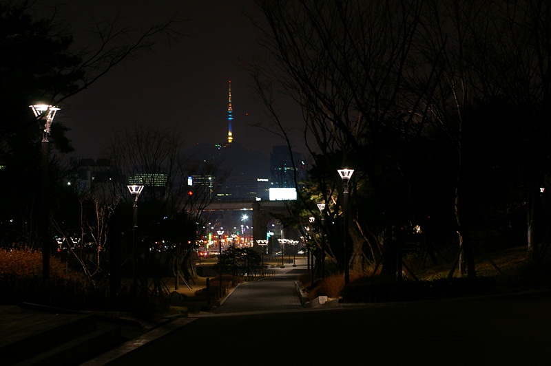 IMGP9536.JPG