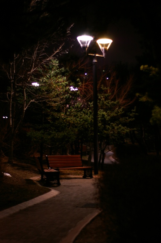 IMGP9539.JPG