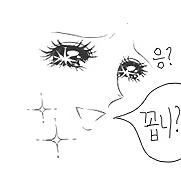 dd.jpg