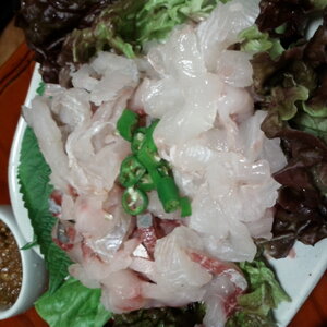 이거 돔 맞냐?