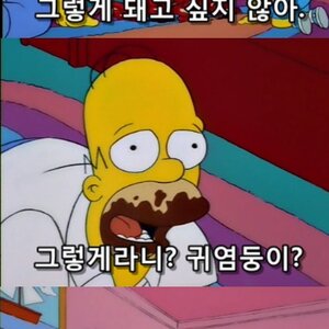 헉 십덕커님들 모두안녕요