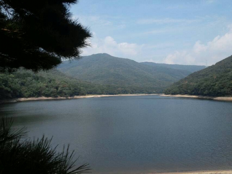 img20130926_112903.jpg