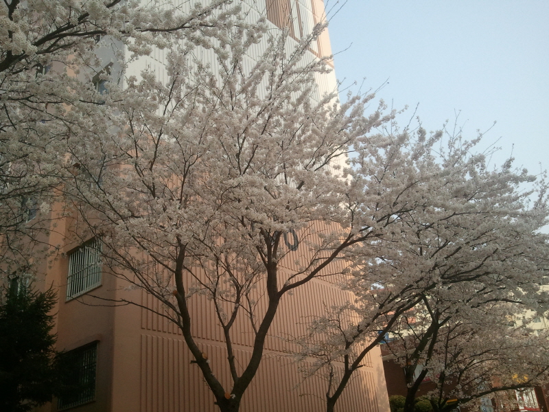 크기변환_2011-04-08 16.14.11.jpg