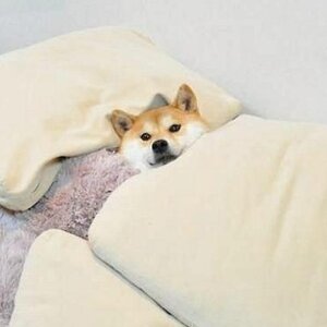 안녕하세요