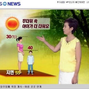 여름에 씨ㅃ떡들이 더운이유