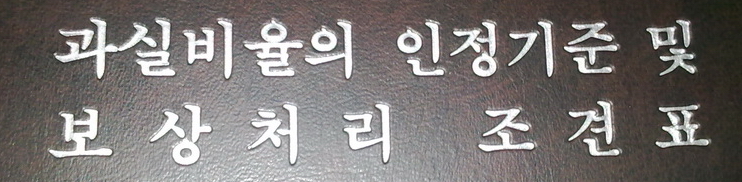 20100425041_resize.jpg