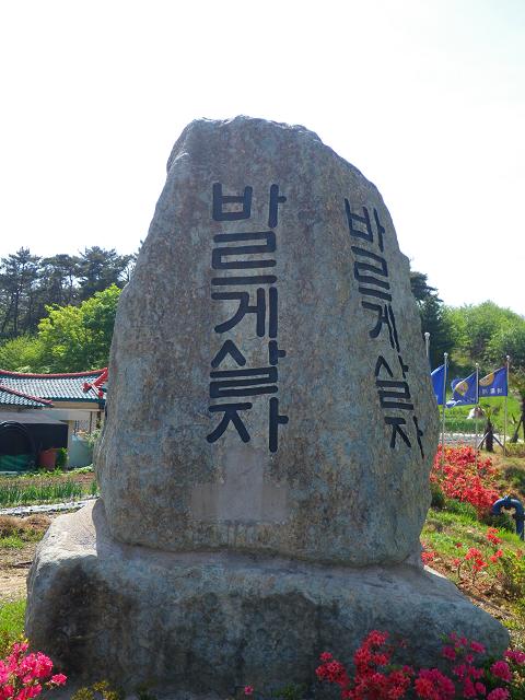 살아랗ㅎ.JPG