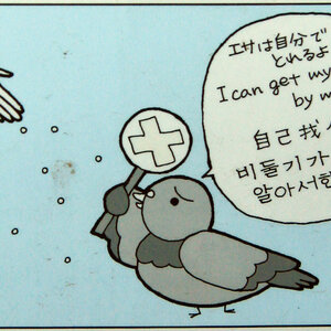 맞춤법대장