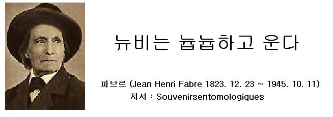 파브르.JPG