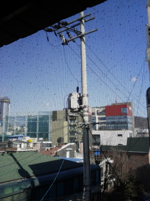 크기변환_회전_IMG_20120208_140653.jpg
