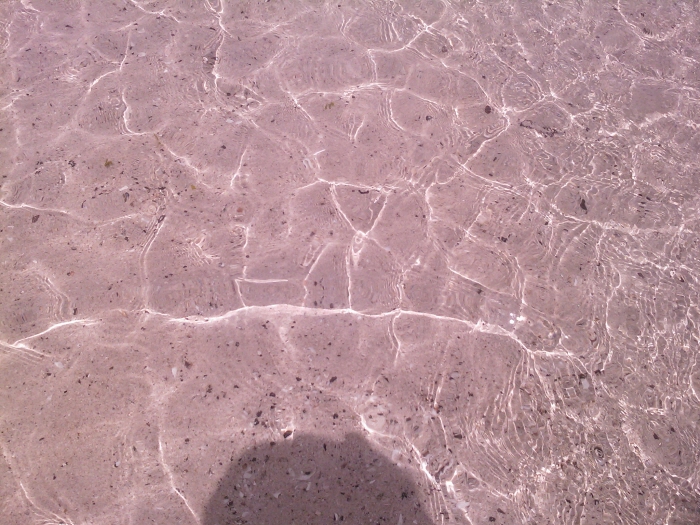 사진090818_106.jpg
