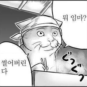 달구누나는