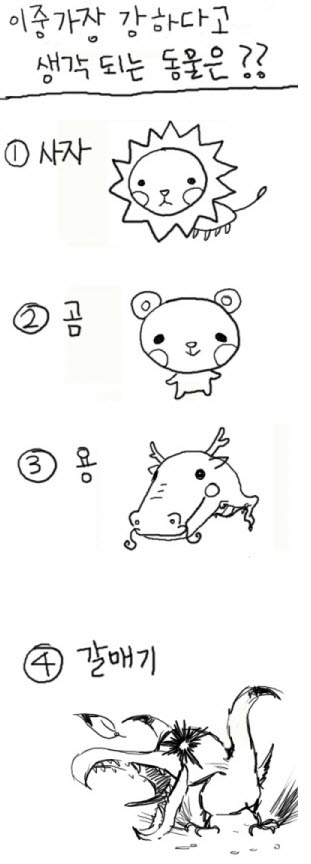 갈매기.jpg