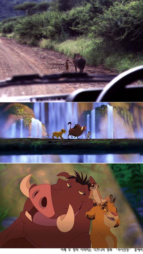 lionkingimage.jpg