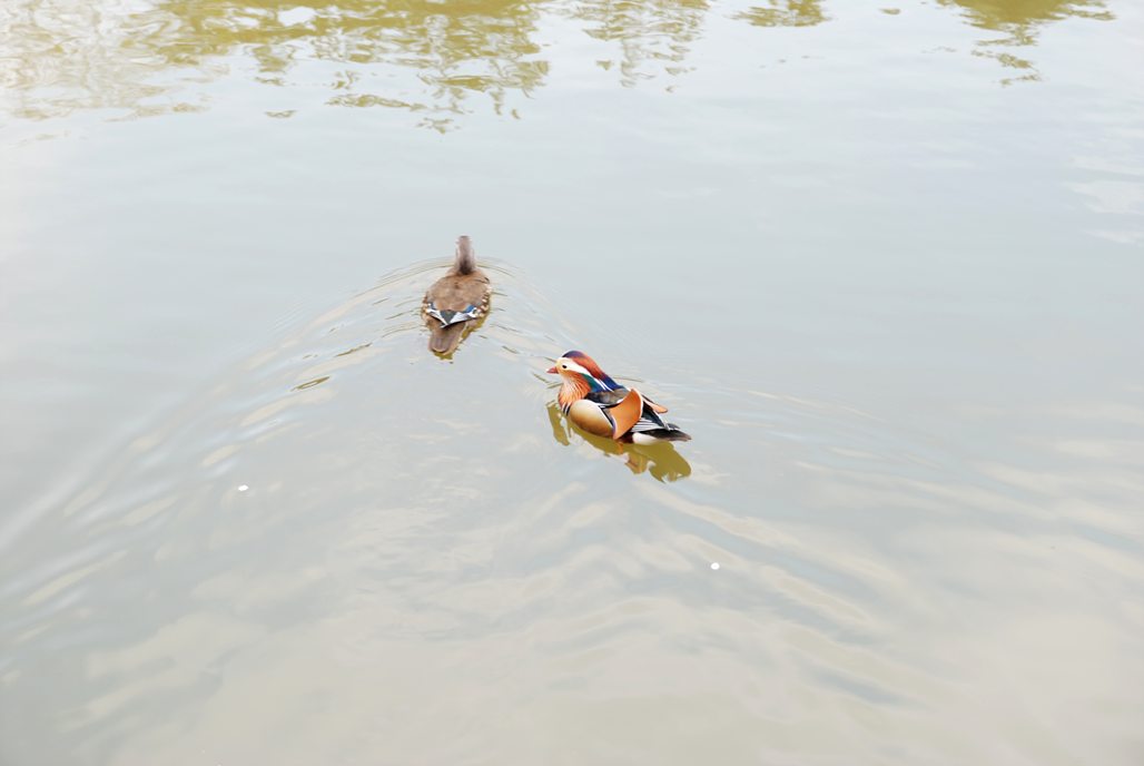 DSC_0165.jpg
