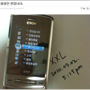 보험사기.xxl