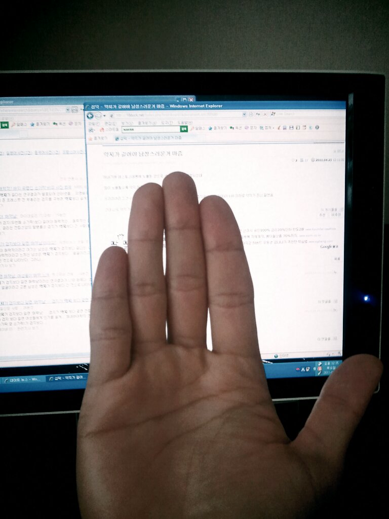 1303355752394.jpg