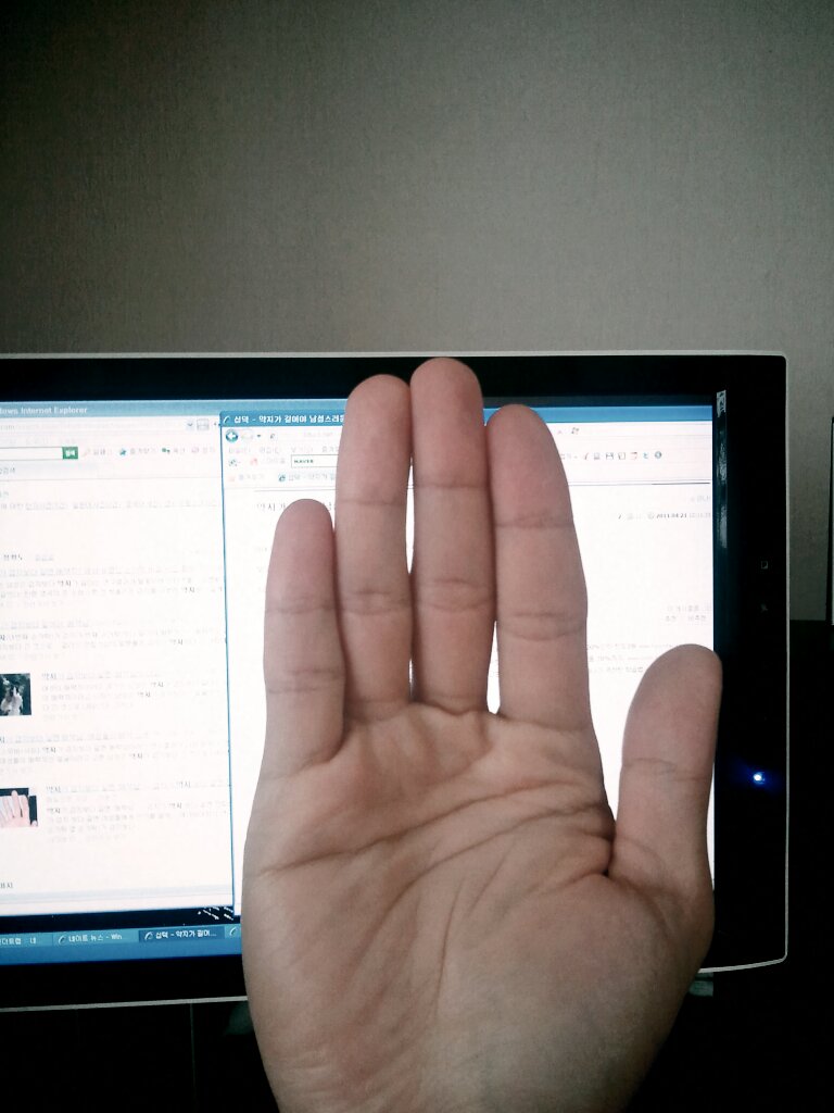 1303355859399.jpg